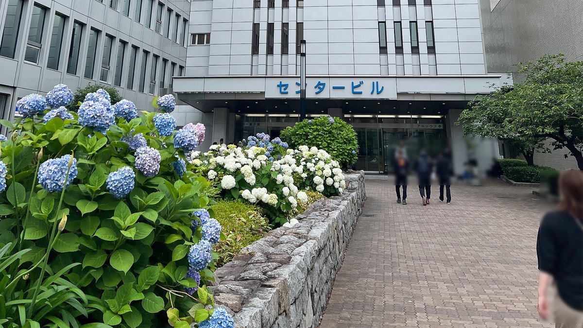 試験会場のビル。あじさいが咲いている