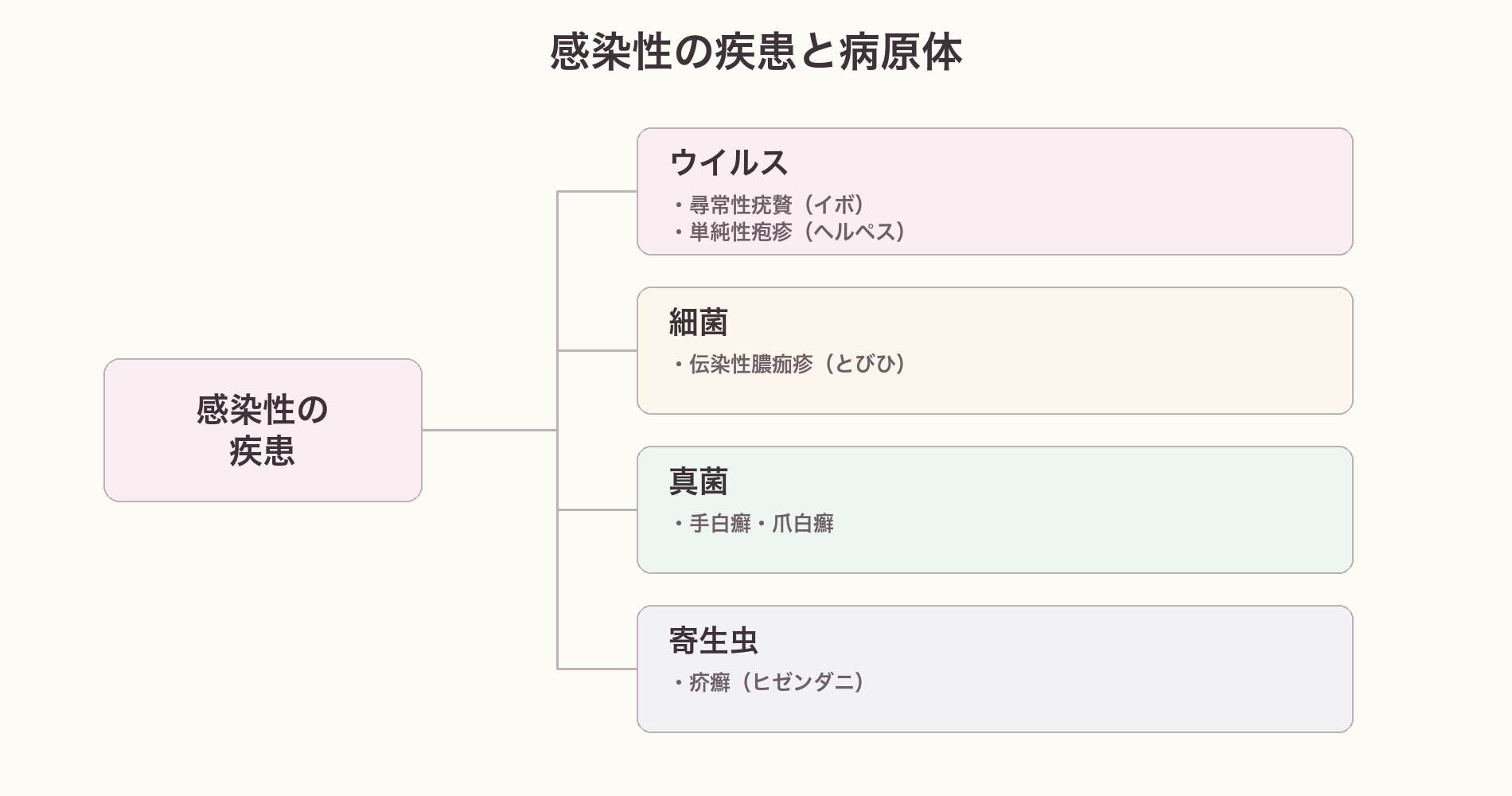 感染性の疾患と病原体の分類図。ウイルス(イボ・ヘルペス)、細菌(とびひ)、真菌(白癬)、寄生虫(疥癬)